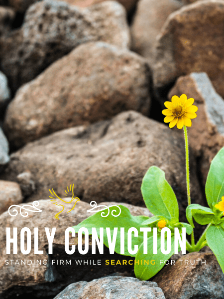 Holy Conviction